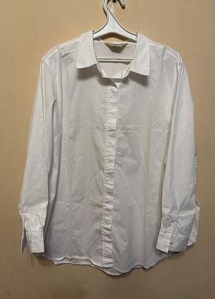 Рубашка женская хлопк primark parenthood