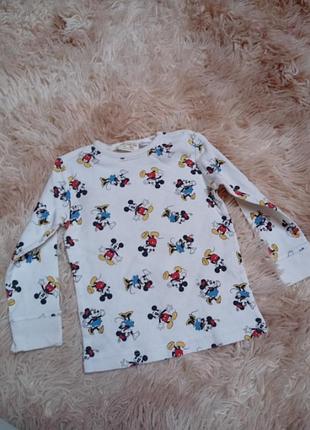 Трикотажная кофта zara лонгслив на 12-18 месяцев 86 см