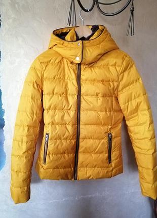 Зимова куртка