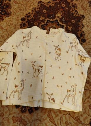 Футболка фірми sfera