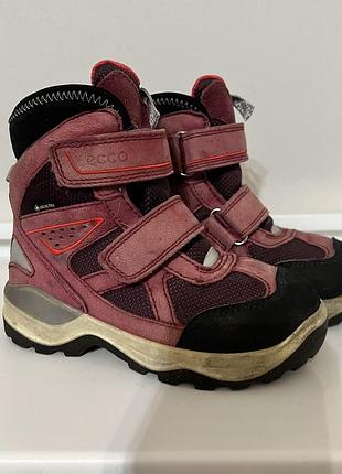 Чоботи зимові