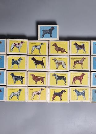 Сувенирные коллекционные спички "служебные и охотничьи собаки", 25 коробок