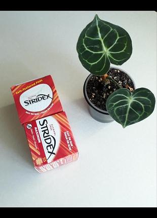 В наявності stridex 55шт подушечки для очищення обличчя, диски пади серветкиайхерб iherb