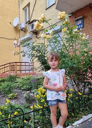 Блузка для дівчинки