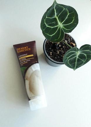 В наличии desert essence, питательный шампунь, кокос, 237 мл iherb айхерб
