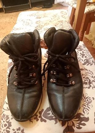 Взуття жіноче