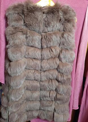 Желетка пишущий