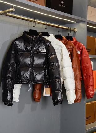 Пуховик the north face
