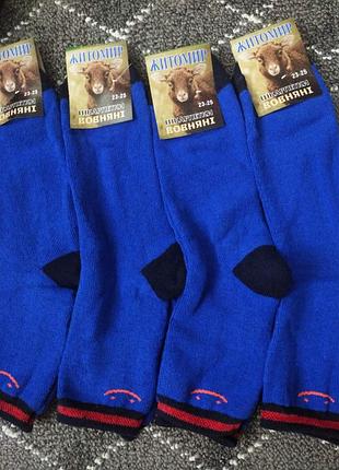 Шкарпетки жіночі махрові "ніскі етикетка житомир" класика бавовна/стрейч р/р 23-25.