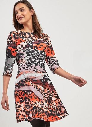 Новое платье трапеция next в леопардовый принт