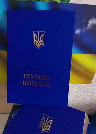 Трудовые книжки