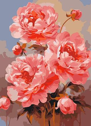 Картина за номерами "літні квіти" 13078-ac 40х50 см