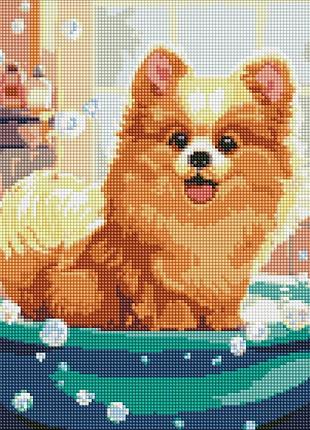 Алмазна мозаїка "маленький пухнастик" amo7800 з ав стразами 40х40 см