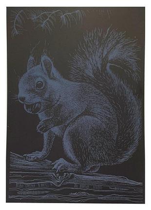 Гравюра а4 "білка" гра4-1с економ варіант в пакеті 29,7х21 см