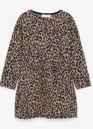 Сукня тепла zara на 13- 14 рр