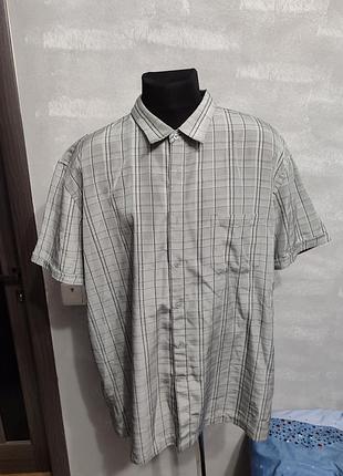 Сорочка чоловіча