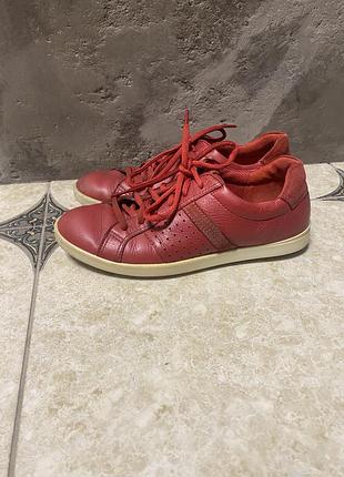 Кросівки ecco 3