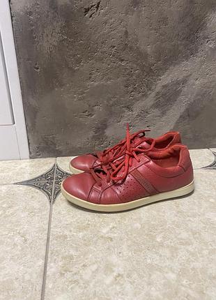 Кросівки ecco 7