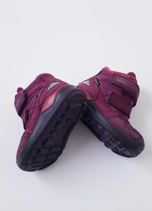 Зимние ботинки сапоги ecco gore tex  р. 20 5