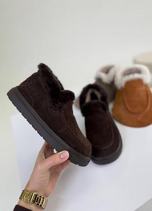 Шоколадні замшеві черевики  угі з хутром автоледі