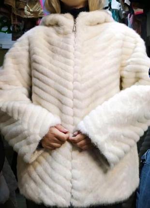 Эконорка средняя длина