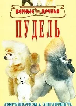 Пудель.	сотская м. н.