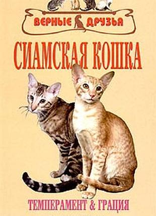 Сіамська кішка.	шевченко е.