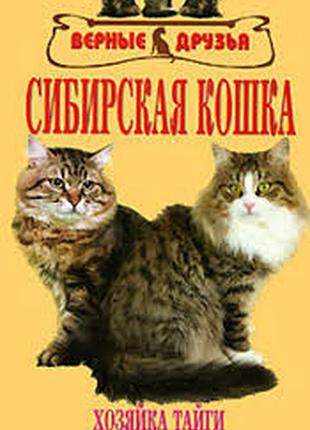 Сибірська кішка.	беляченко а.
