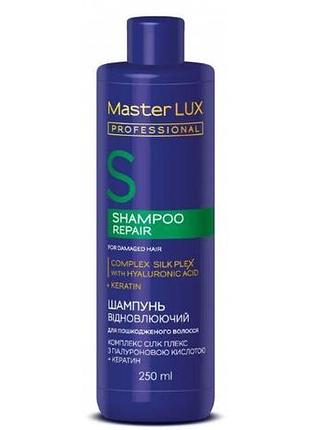 Шампунь восстанавливающий для поврежденных волос repair master lux 250 мл