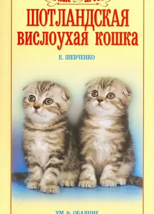 Шотландська висолуха кішка.	шевченко е.