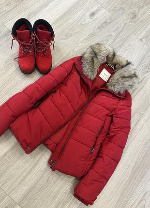 Зимні куртки