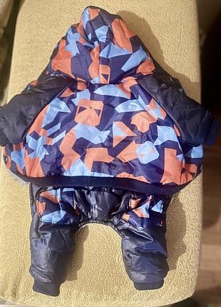 Одяг для чіхуахуа