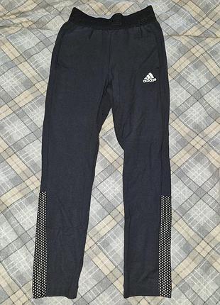 Лосины штаны на девочку