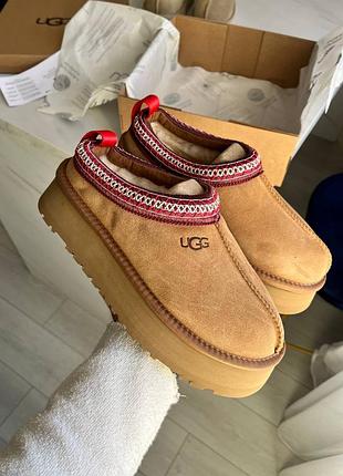 Уггі угги угі уги угг ugg tasman platform chestnut • art588
