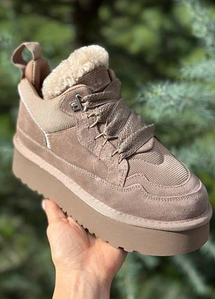 Стильні високі кеди утепленні хайтопи шоколад 🍫