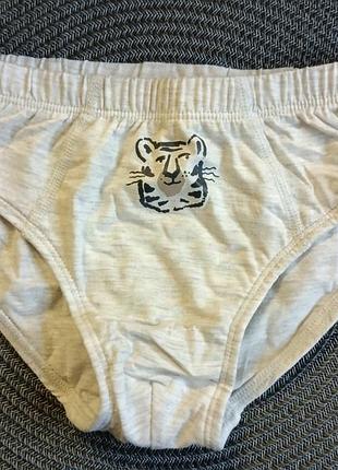 Трусы c&amp;a на мальчика