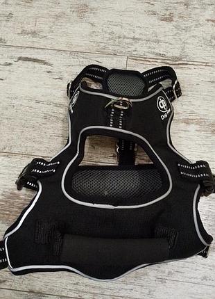 Шлейка для собак