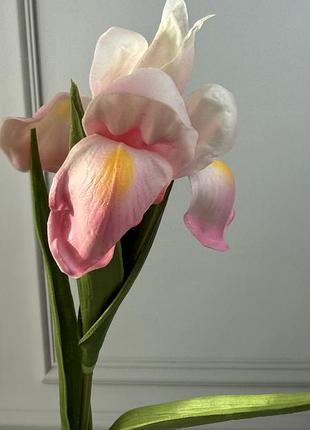Ірис латекс , штучний 3