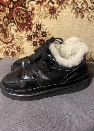 Зимние ботинки ugg