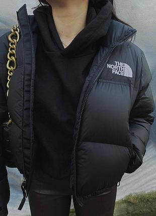 Кротка жеочая