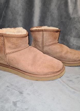 Короткі замшеві зимові чобітки в чудовому стані 36 розмір