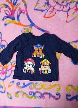 Продам реглан 74 р