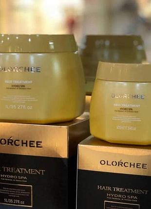 Маска для інтенсивного зволоження волосся - olorchee hydro spa mask