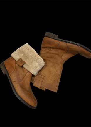 Черевики ugg