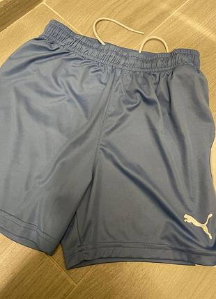 Шорти puma