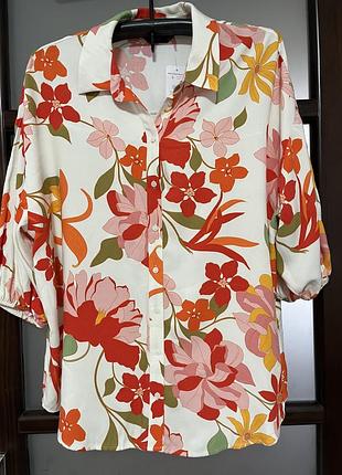 Блуза батального розміру