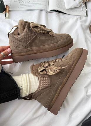 Ugg lowmel sneaker chocolate кросівки/уггі ugg lowmel brown