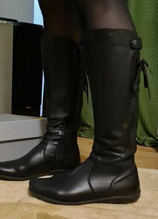 Сапоги carlo pazolini