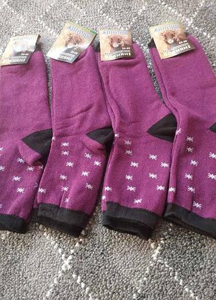 Носки женские махровые "носки этикетка житомир" классика хлопок/стрейч р/р 23-25.