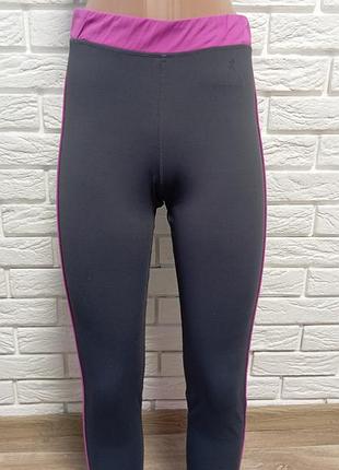 Лосіни нові